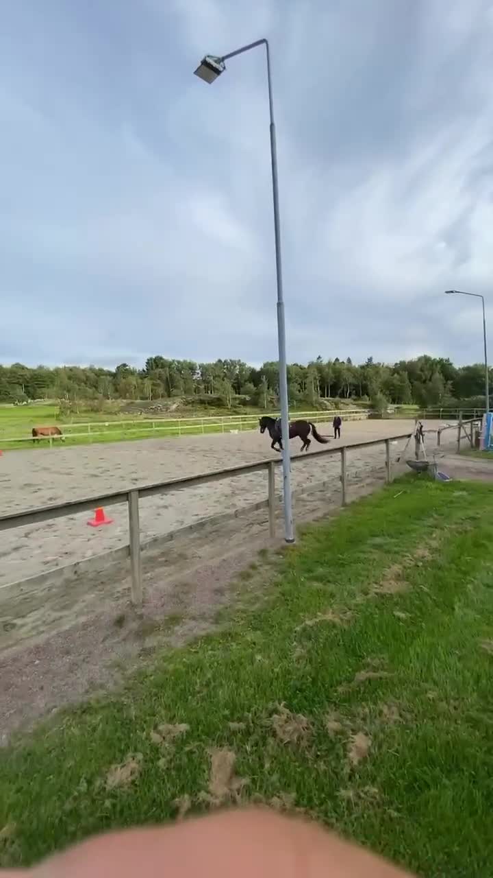 Allround hästar till salu: Vacker welsh cob ⭐️ i Göteborg - Video 1
