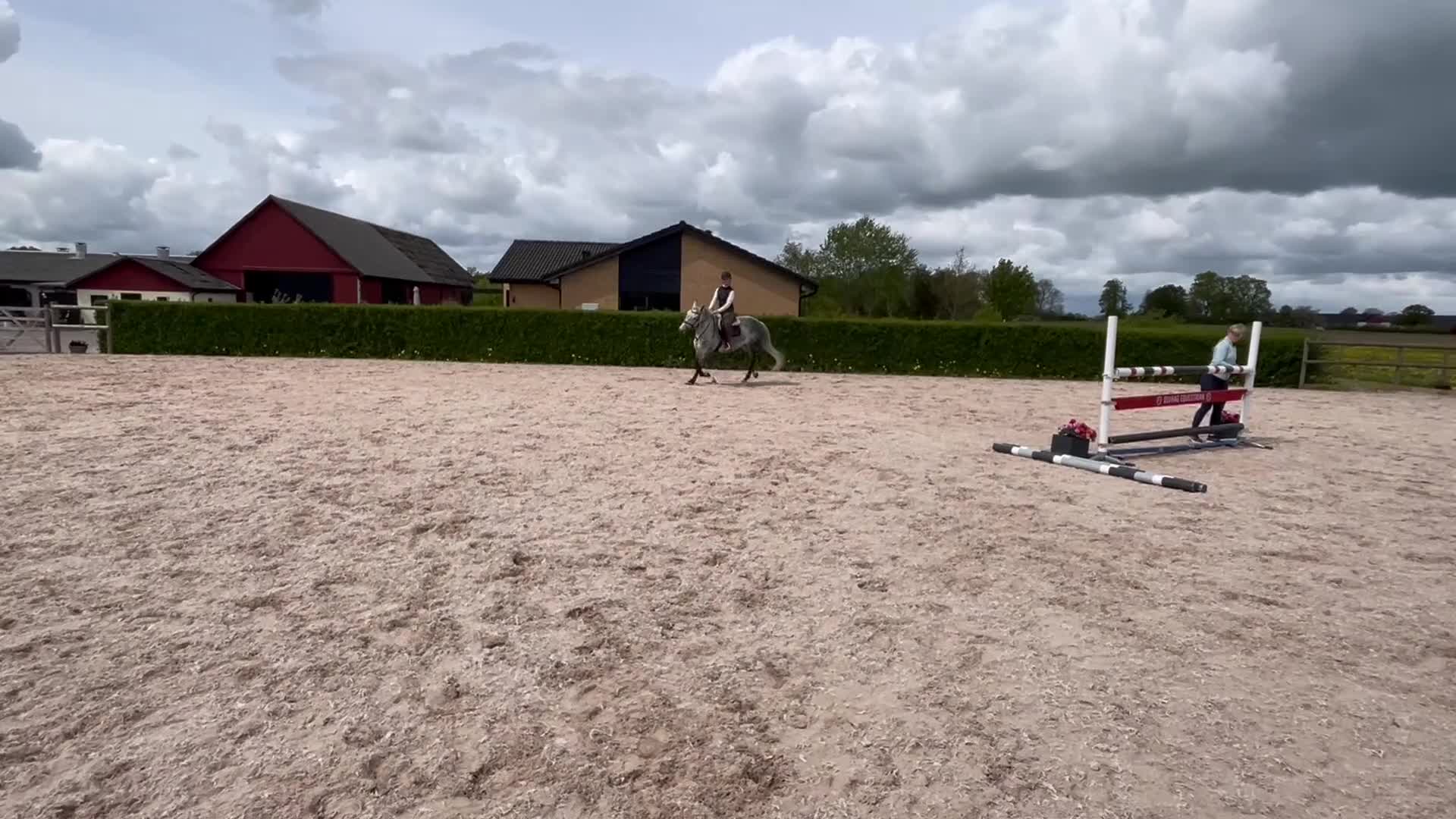 Hoppning hästar till salu: Superfint SWB sto med kapacitet - Video 4