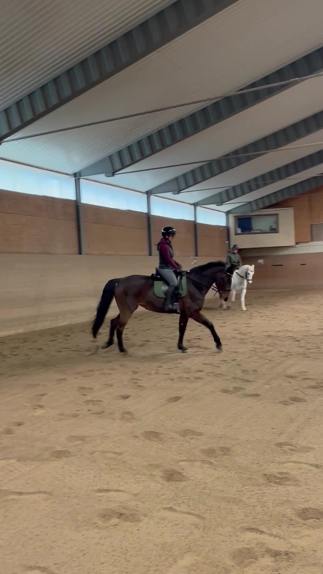 Allround hästar till salu: Fantastisk läromästare  i Skövde - Video 4