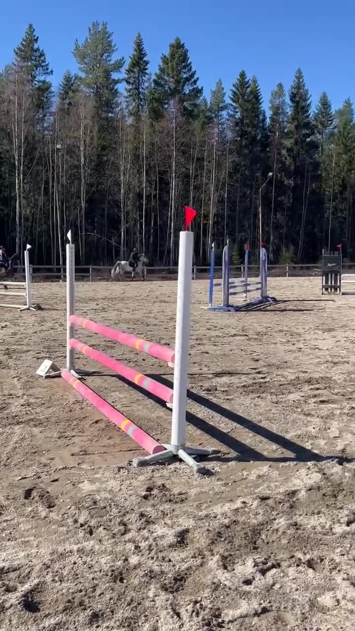 Hoppning hästar till salu: Supersnygg Connemaraponny - Video 1