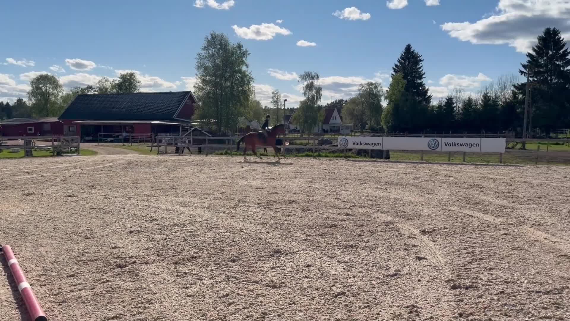 Hoppning hästar till salu: Trevlig 5-årig valack  - Video 2