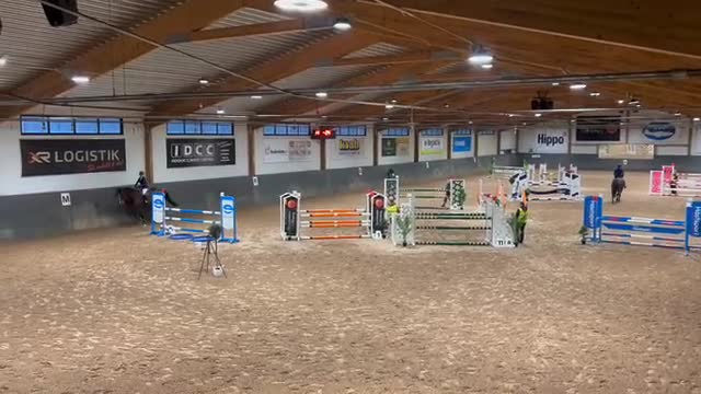 Hoppning hästar till salu: Snygg valack med toppstam i Stenkullen - Video 1