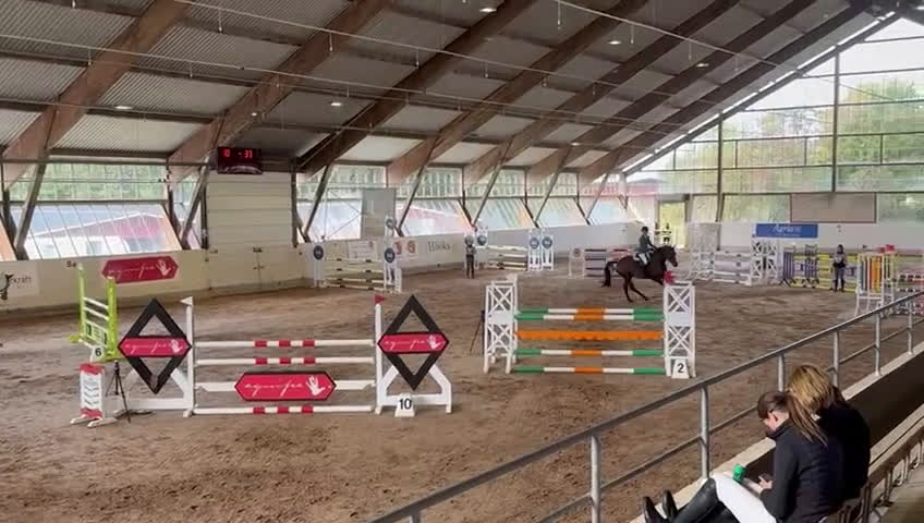 Hoppning hästar till salu: SWB- valack med hjärta av guld i Våxtorp - Video 2