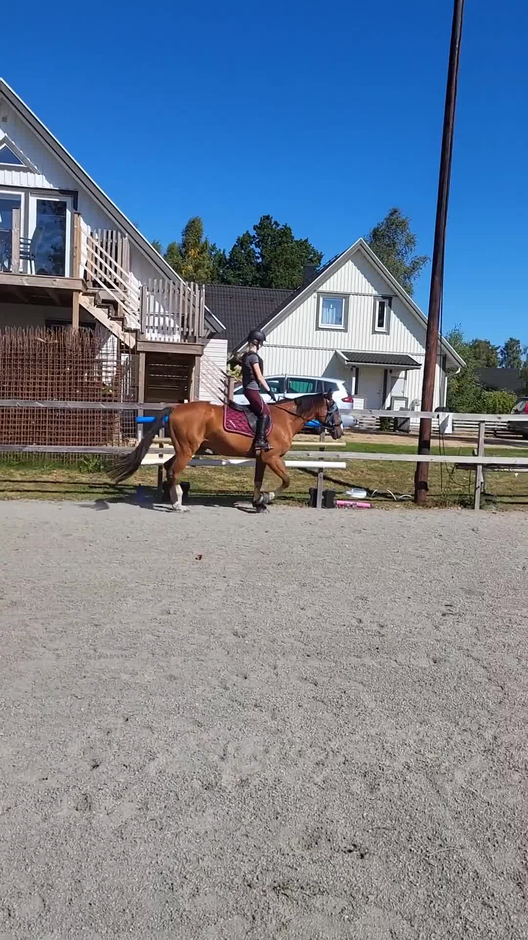 Allround hästar till salu: Snygg ridtravare i Kalvsvik - Video 1