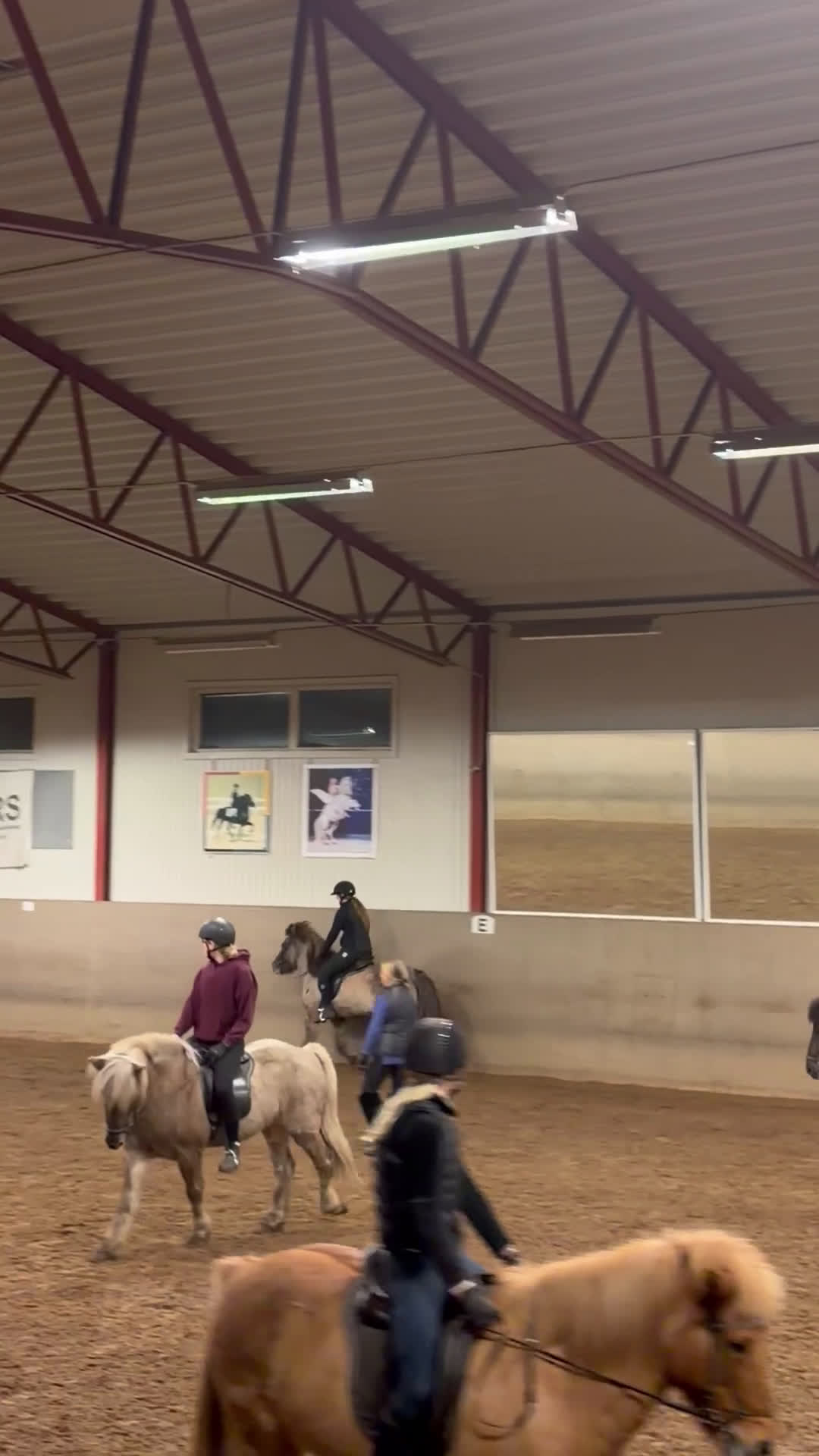  medryttarhäst sökes: Medryttarhäst sökes!  i Tyresö - Video 2