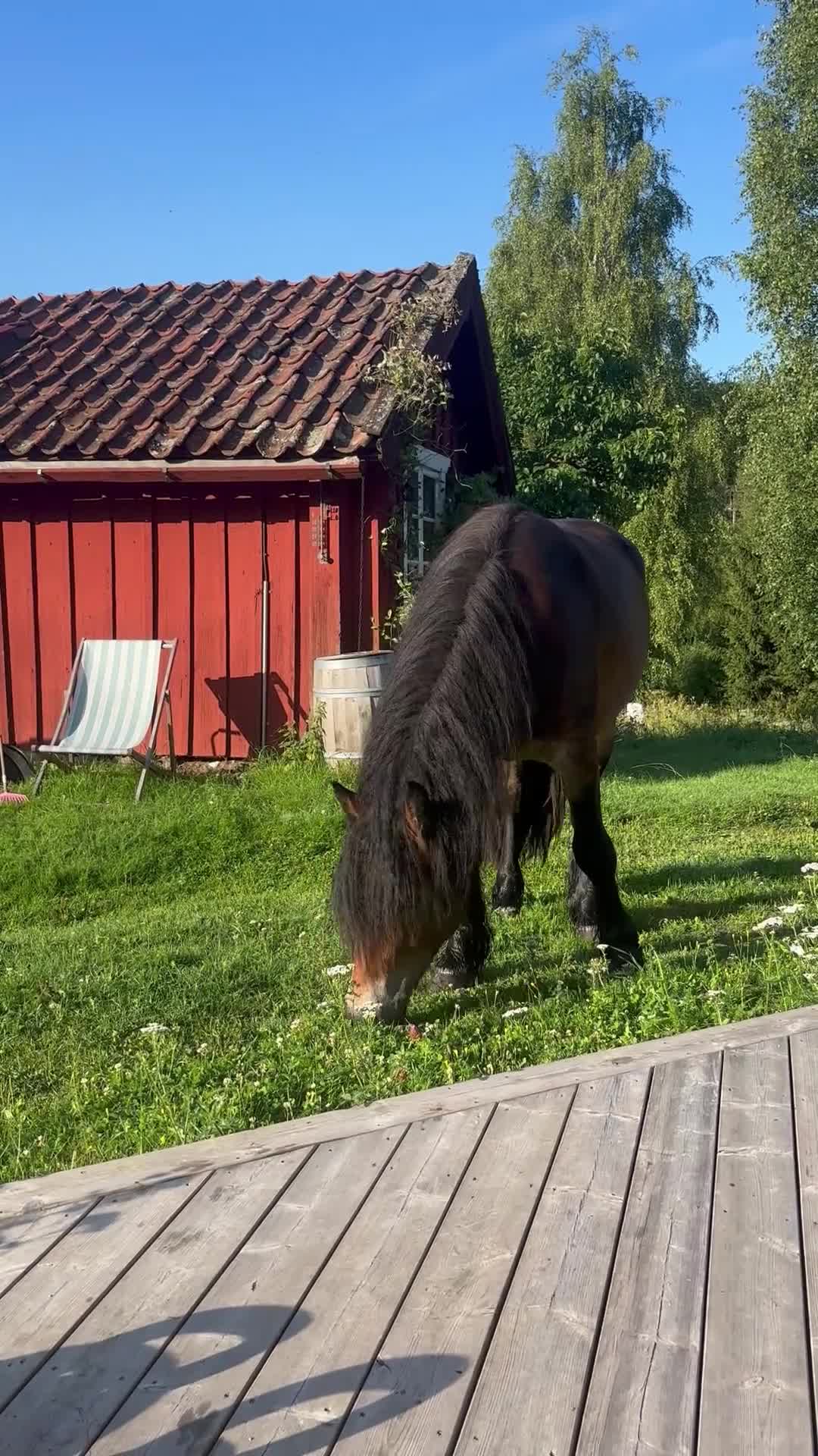  stallplats finnes: Stor & härlig lösdrift - Video 2