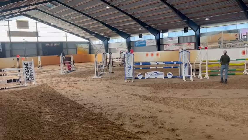 Hoppning hästar till salu: SWB- valack med hjärta av guld i Våxtorp - Video 1