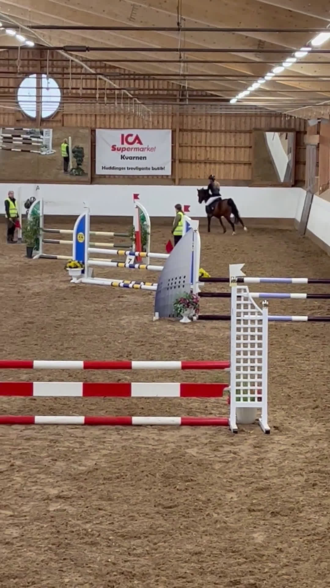  medryttarhäst sökes: Söker fyrbent kompis🐴 - Video 2