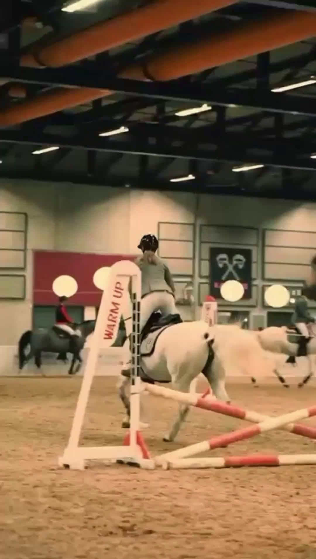 Hoppning hästar till salu: Versatile Show Jumping Pony – Proven Across Europe - Video 1