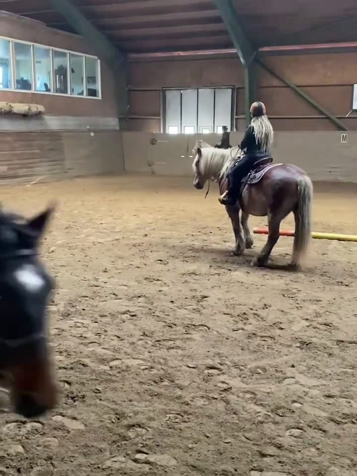 Working Equitation hästar till salu: En riktigt trevlig ponny  i Färgelanda - Video 3