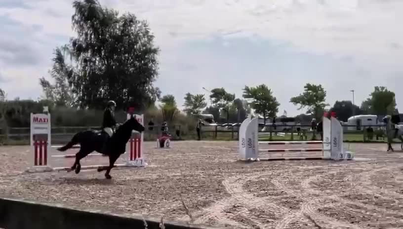 Allround hästar till salu: Fantastisk C ponny valack  - Video 3