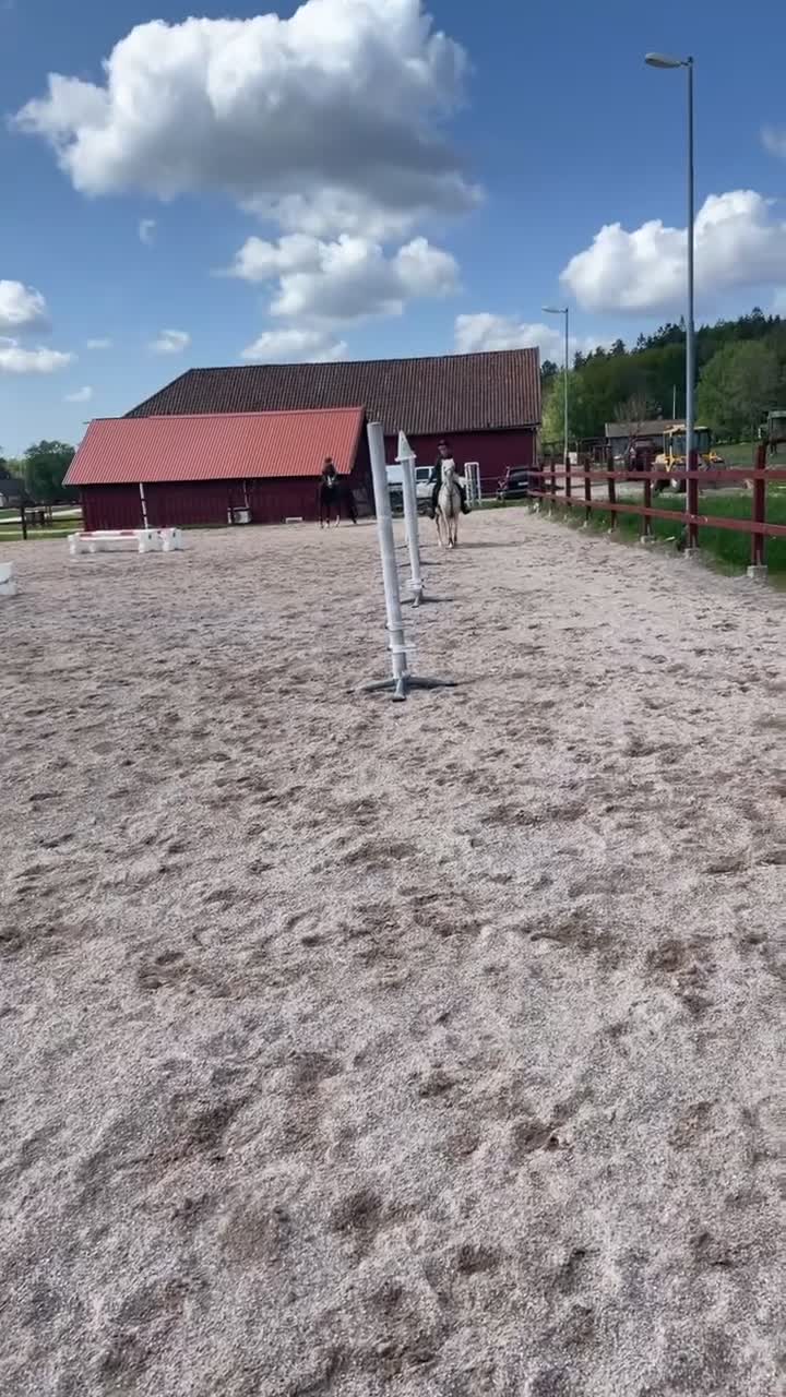 Allround hästar till salu: Charmig och pigg B-ponny söker sin nya ryttare ❤️ - Video 2