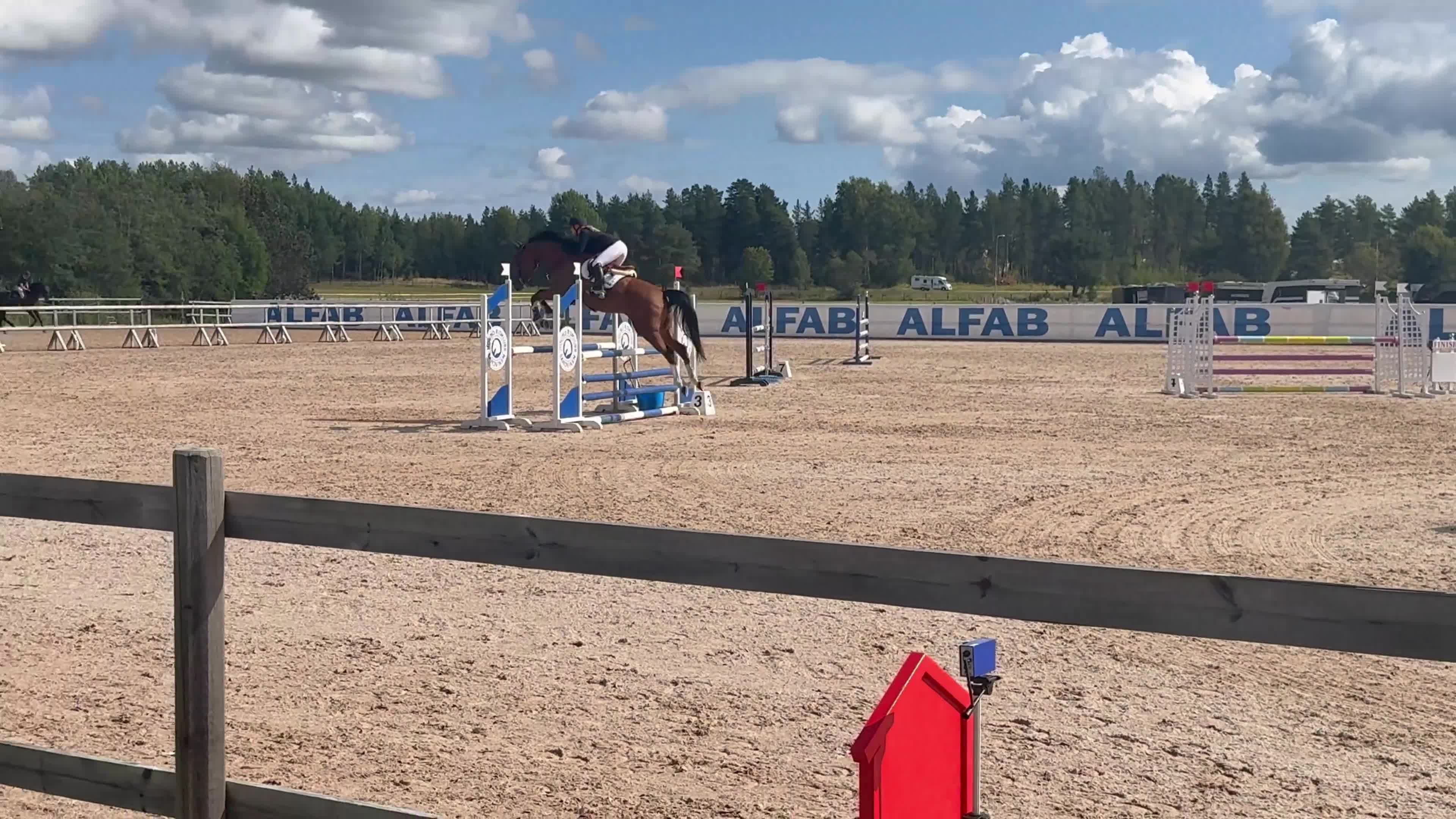Hoppning hästar till salu: Härlig häst med ett väldigt stort hjärta - Video 2