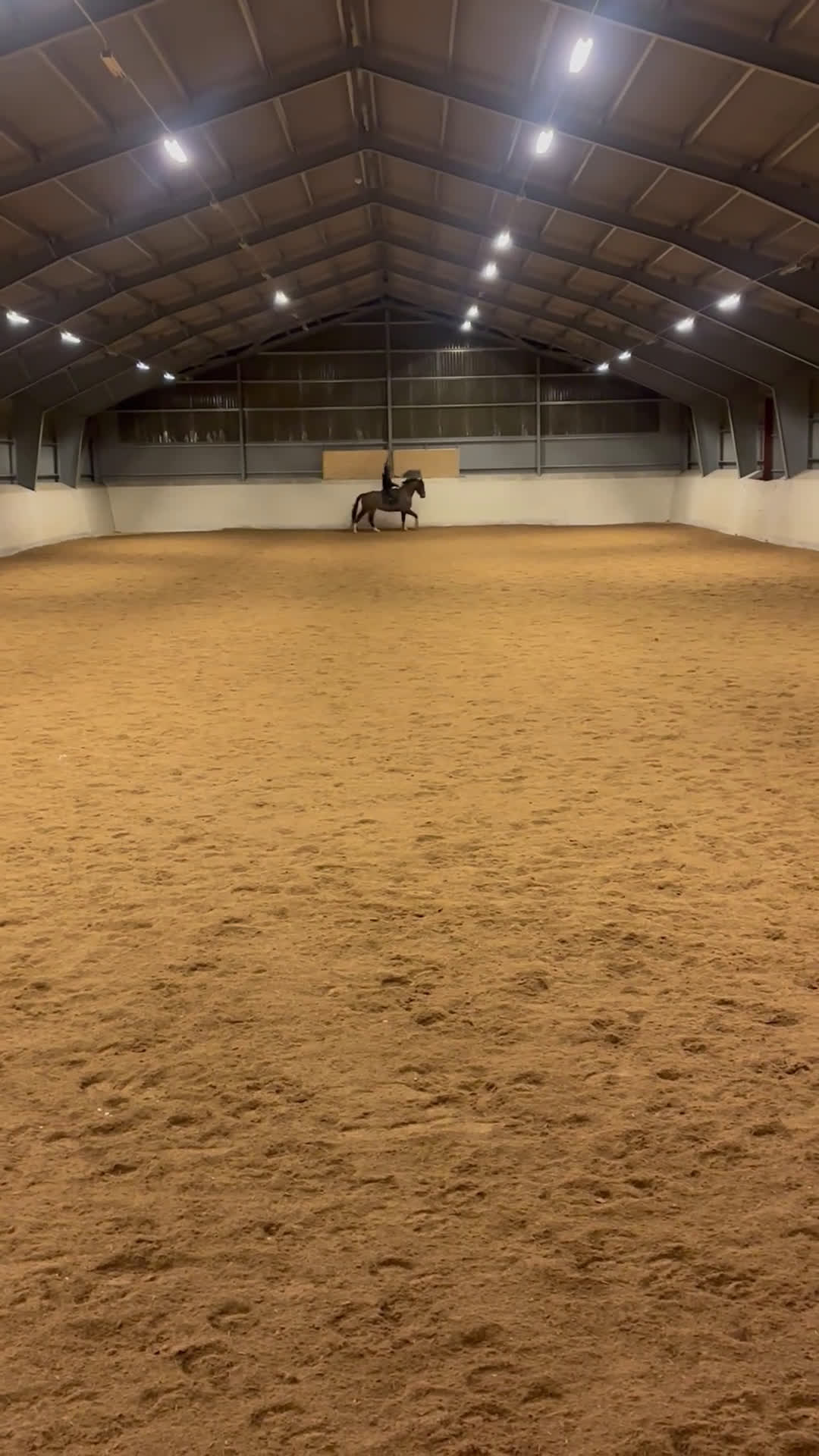 Dressyr hästar till salu: En bästavän att träna och tävla med - Video 2