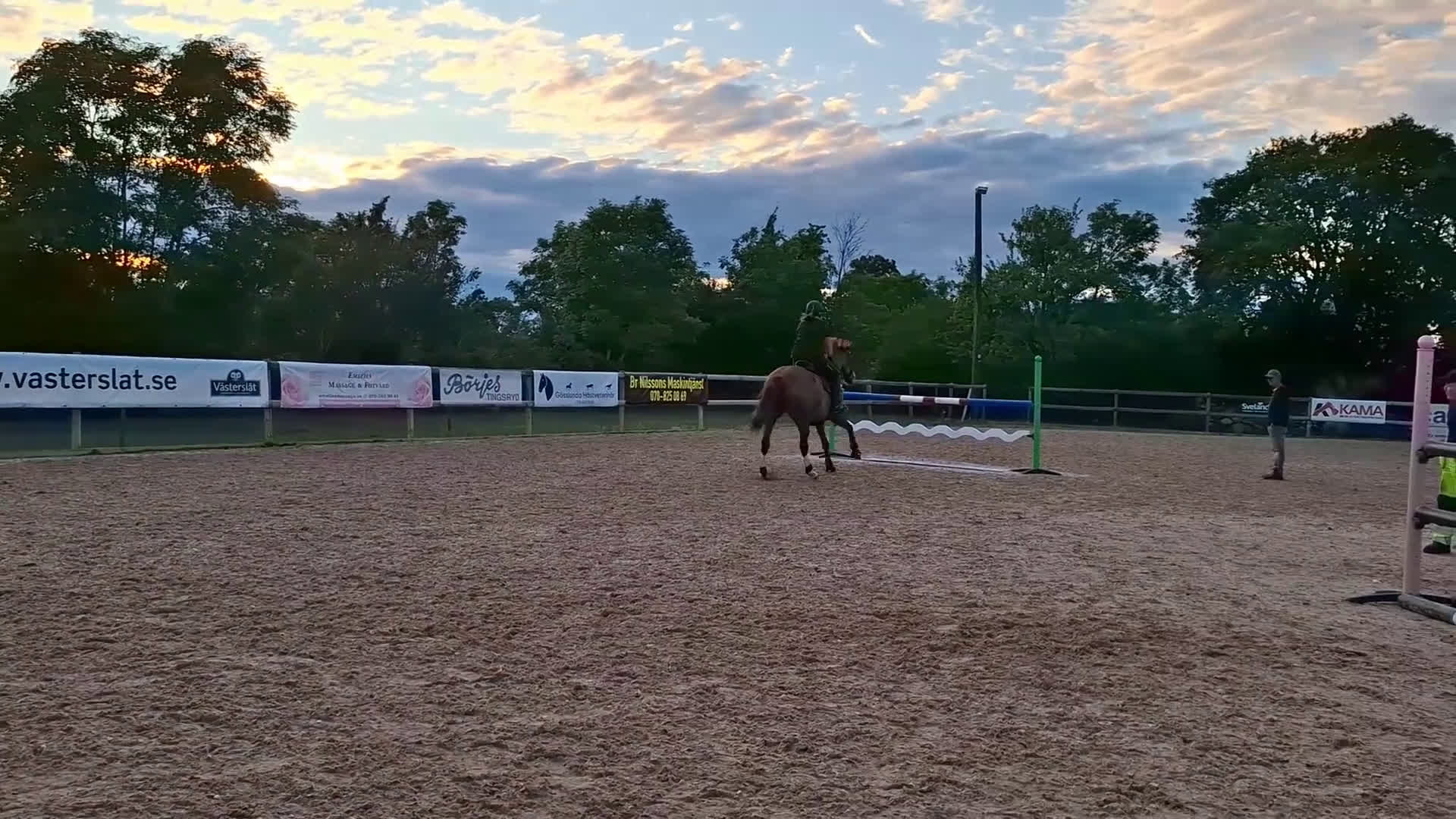 Hoppning hästar till salu: Läromästare i hoppning - Video 4