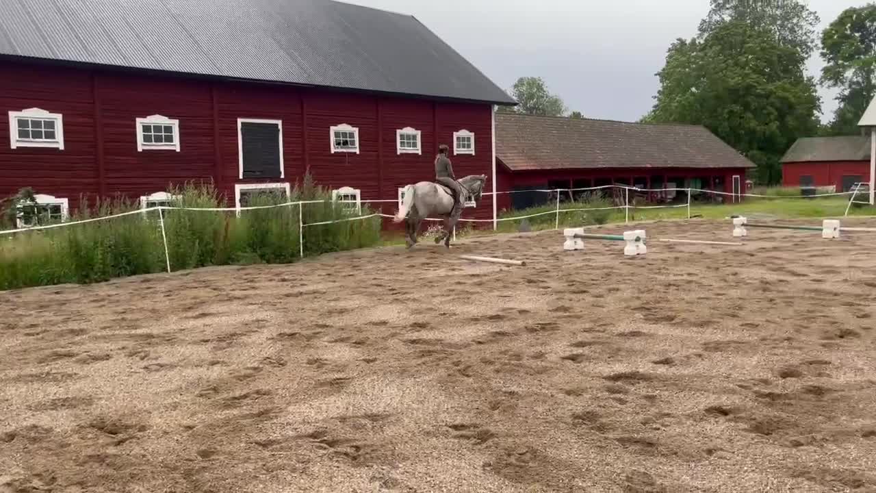 Fälttävlan hästar till salu: Oslipad diamant med stor utvecklingspotential  - Video 3