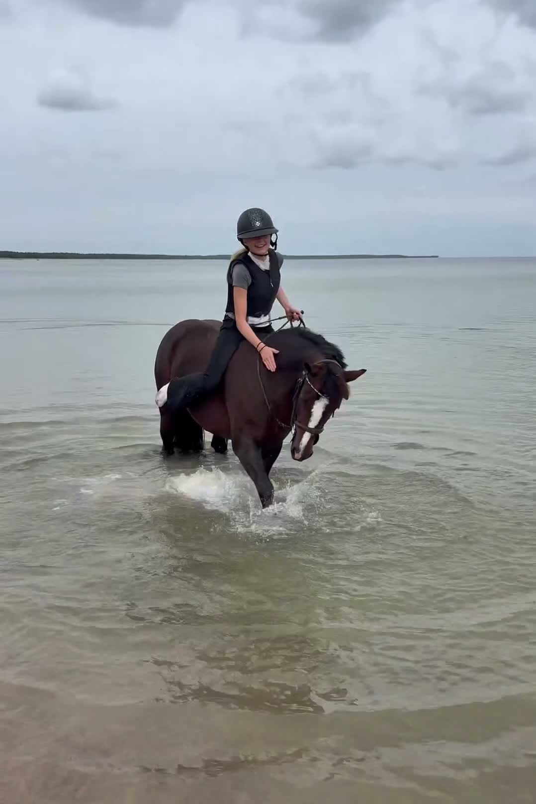 Allround hästar till salu: Läromästaren med hjärta av guld  - Video 2