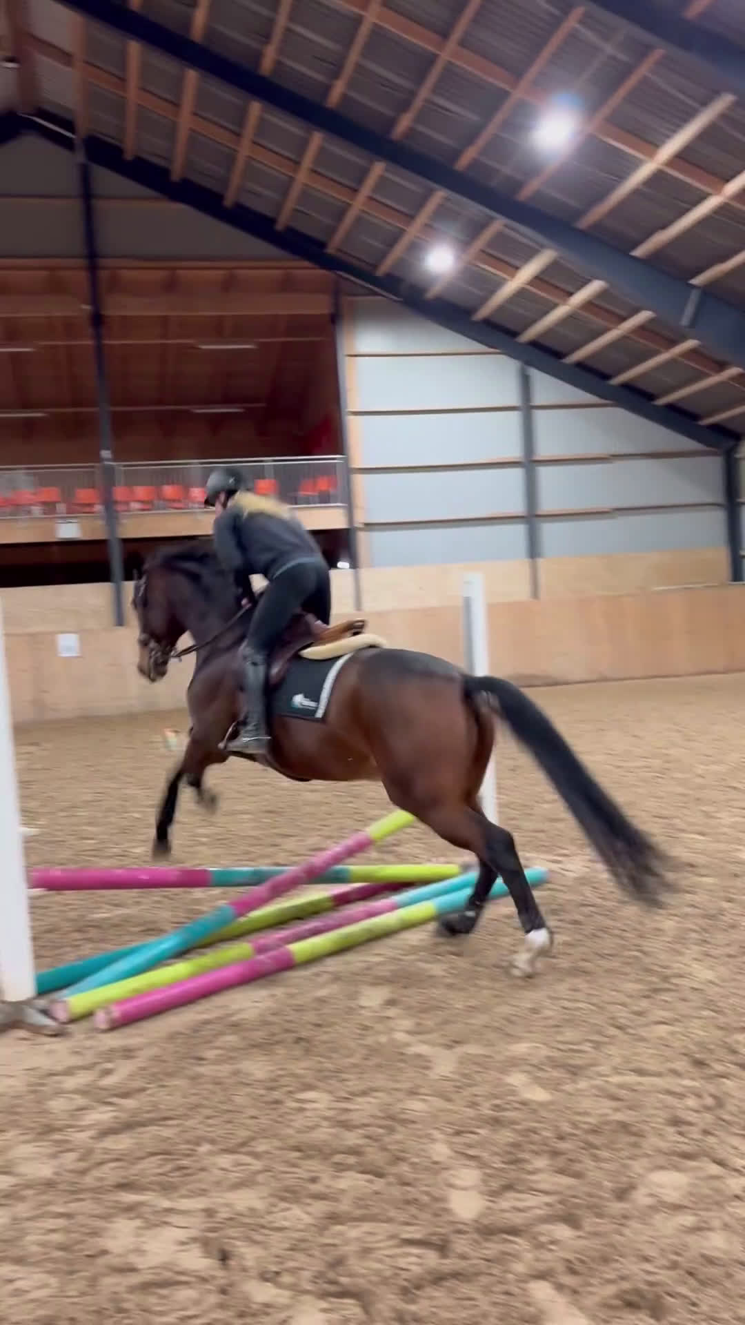 Dressyr hästar till salu: Rolig dressyrhäst i Falköping - Video 3