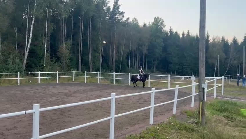 Hoppning hästar till salu: D-ponny med rutin och hjärta i Kinna - Video 3