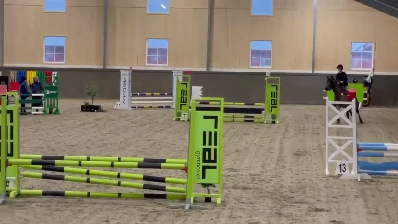 Allround hästar till salu: Projekthäst som tidigare tävlat  - Video 3