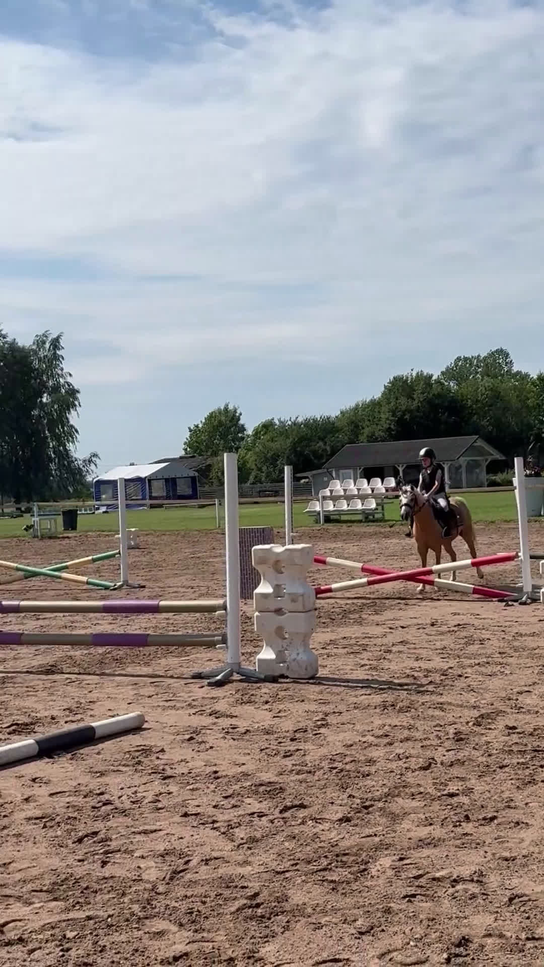 Hoppning hästar till salu: Dream pony for sale i Lund - Video 2