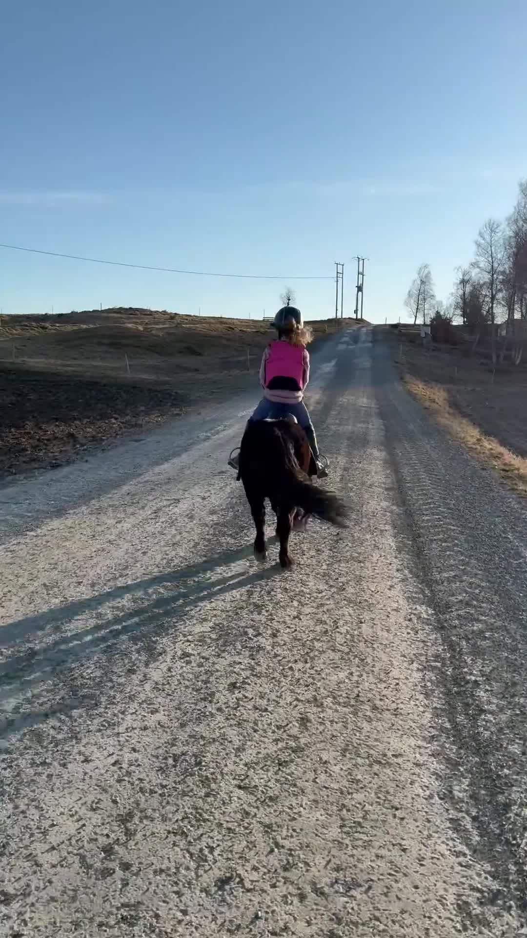 Allround hästar till salu: Verdens beste ponni i Ronglan - Video 1