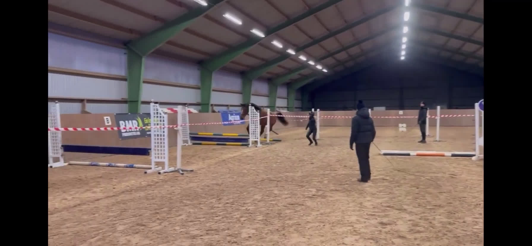 Hoppning hästar till salu: Hoppstammad 4-åring med 3 fina gångarter - Video 1