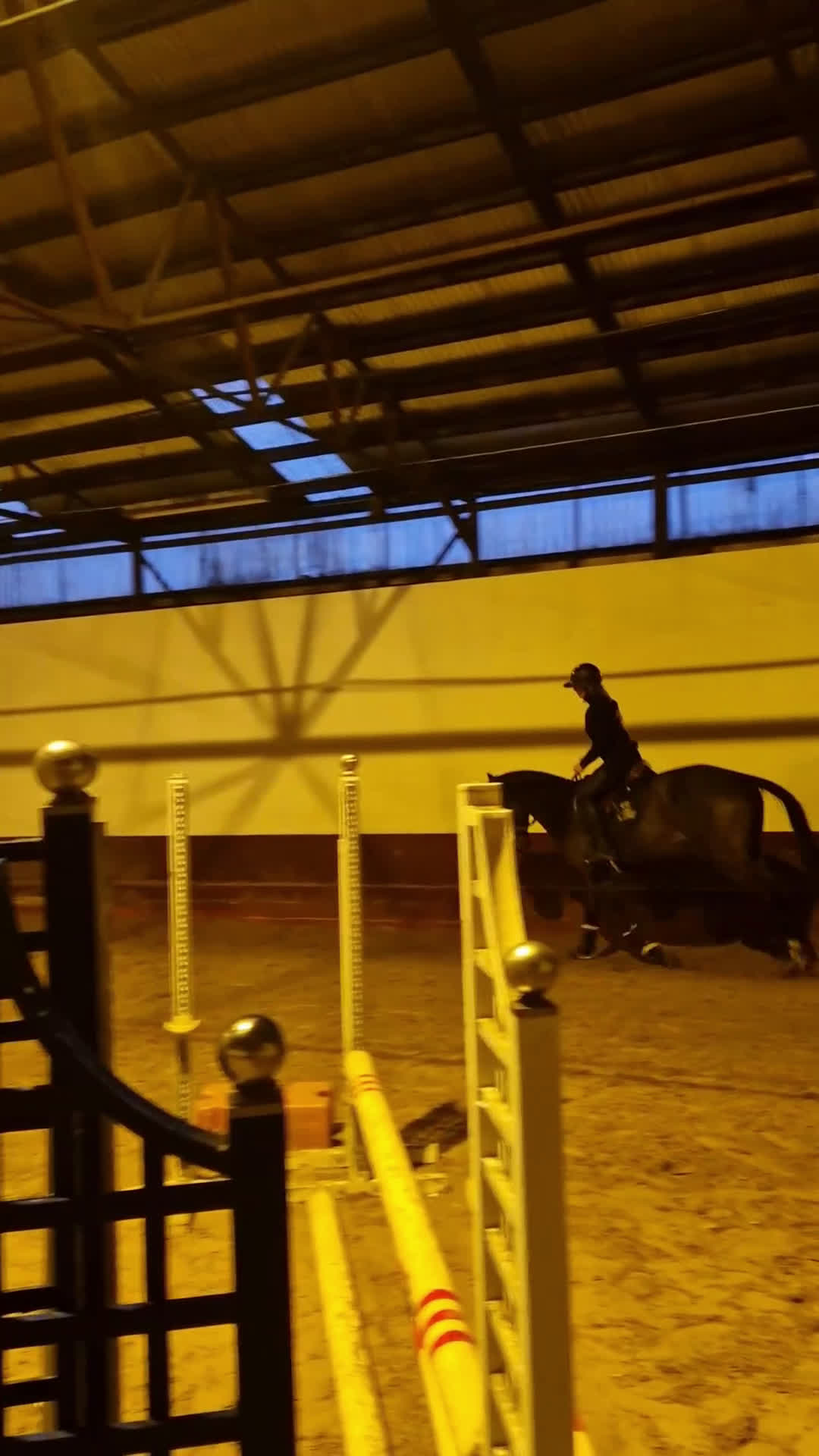 Allround hästar till salu: Dressyrhäst/mamma-dotter/hobbyhäst i Mölndal - Video 3