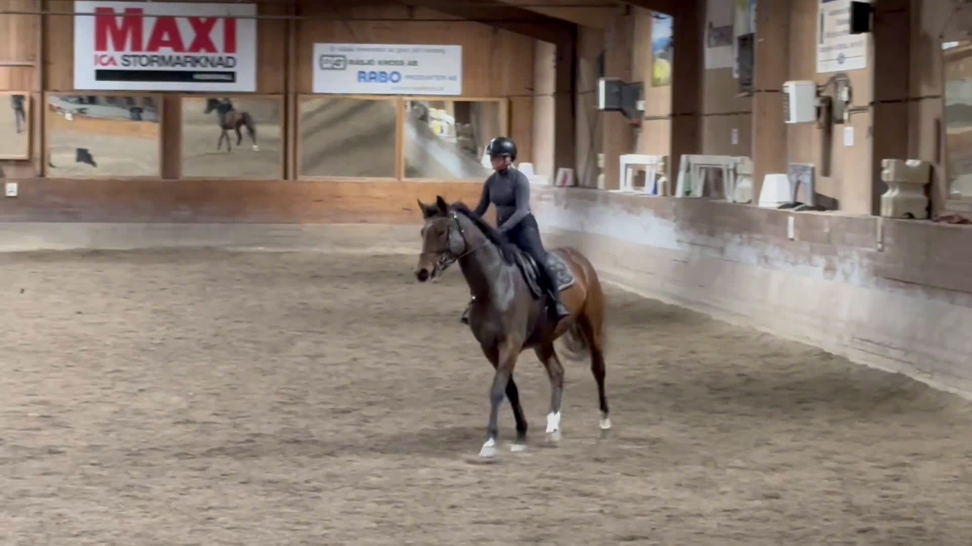 Hoppning hästar till salu: Fint 3 årigt sto efter Montevideo i Hudiksvall - Video 2
