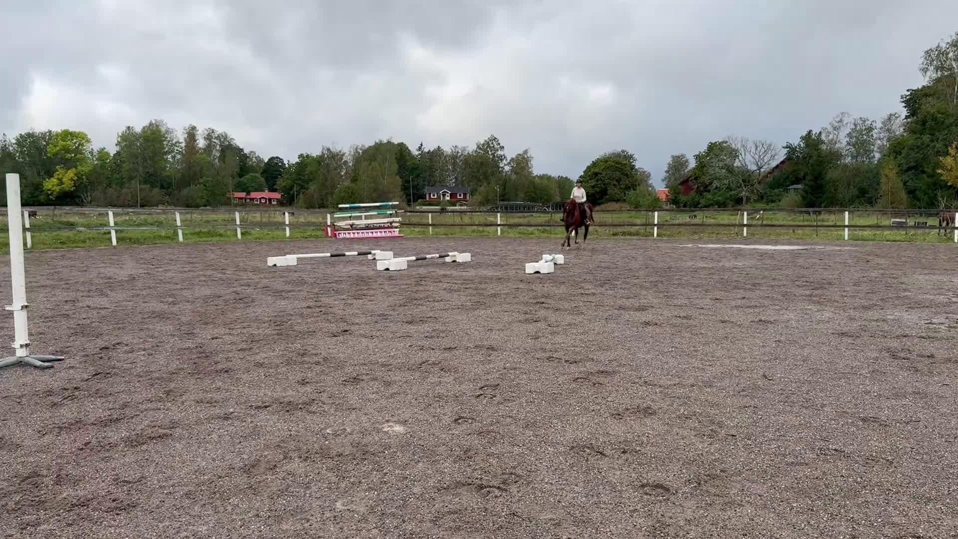 Hoppning hästar till salu: Grön 7 åring med toppstam! - Video 4