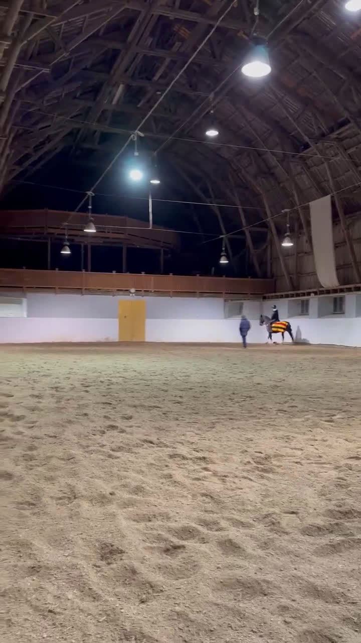 Allround hästar till salu: Maxad c-ponny  - Video 2