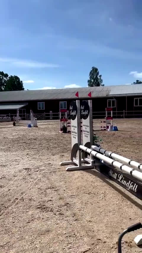 Allround hästar till salu: Snygg valack RESERVERAD  i Eksjö - Video 5