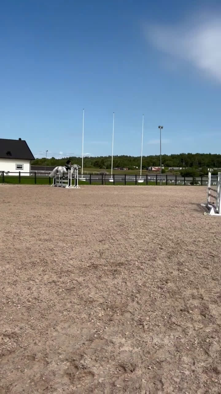 Allround hästar till salu: Superfin allroundhäst med kapacitet - Video 1