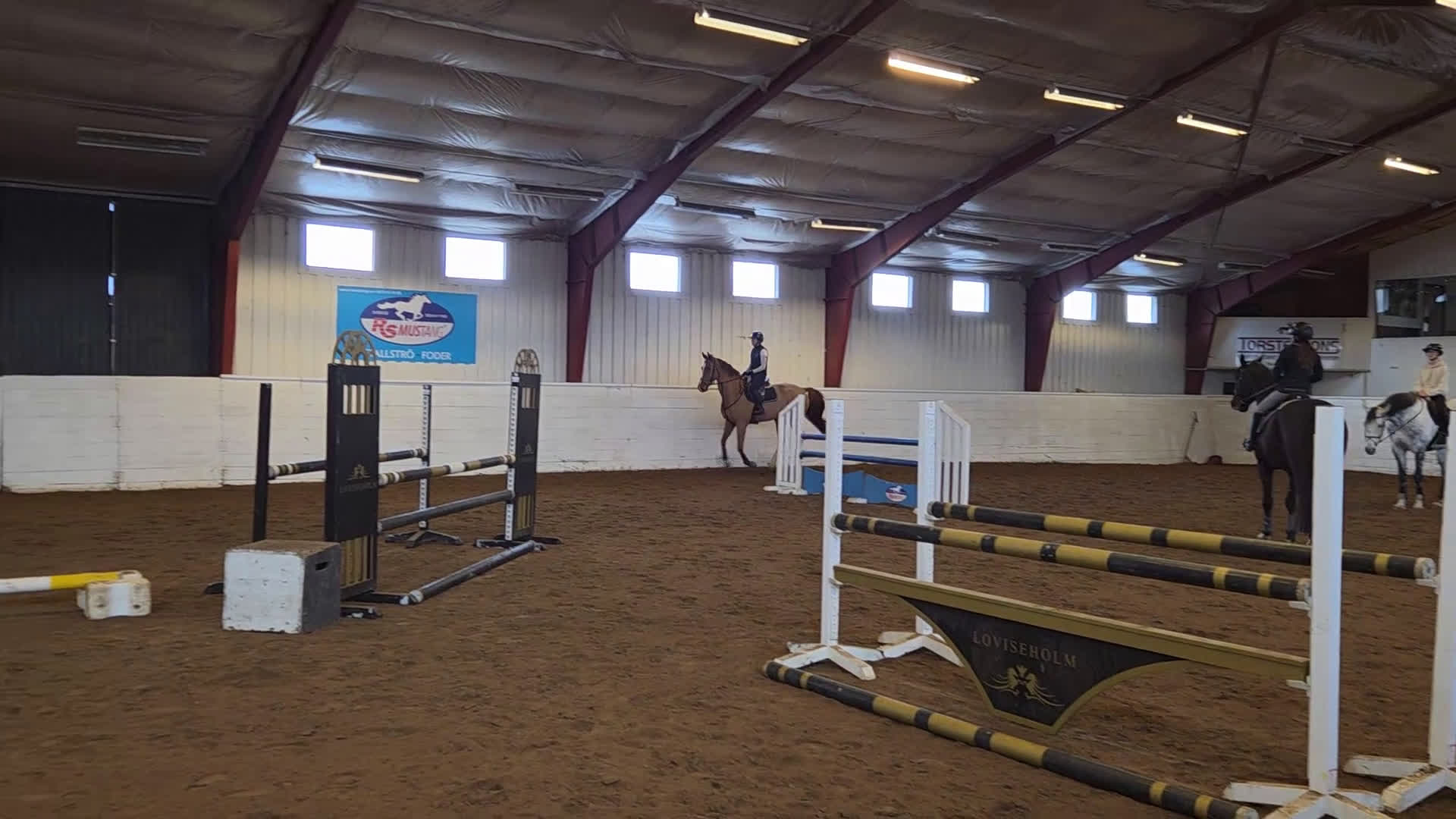 Hoppning hästar till salu: Positiv häst med energi i kroppen.  - Video 1