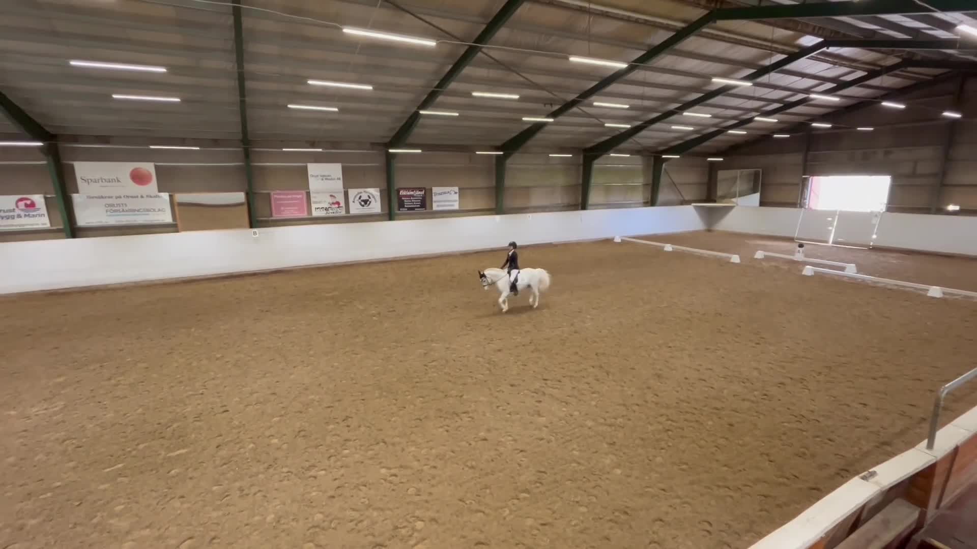Allround hästar till salu: 🌟 ponny för valfri gren i Kärna - Video 3