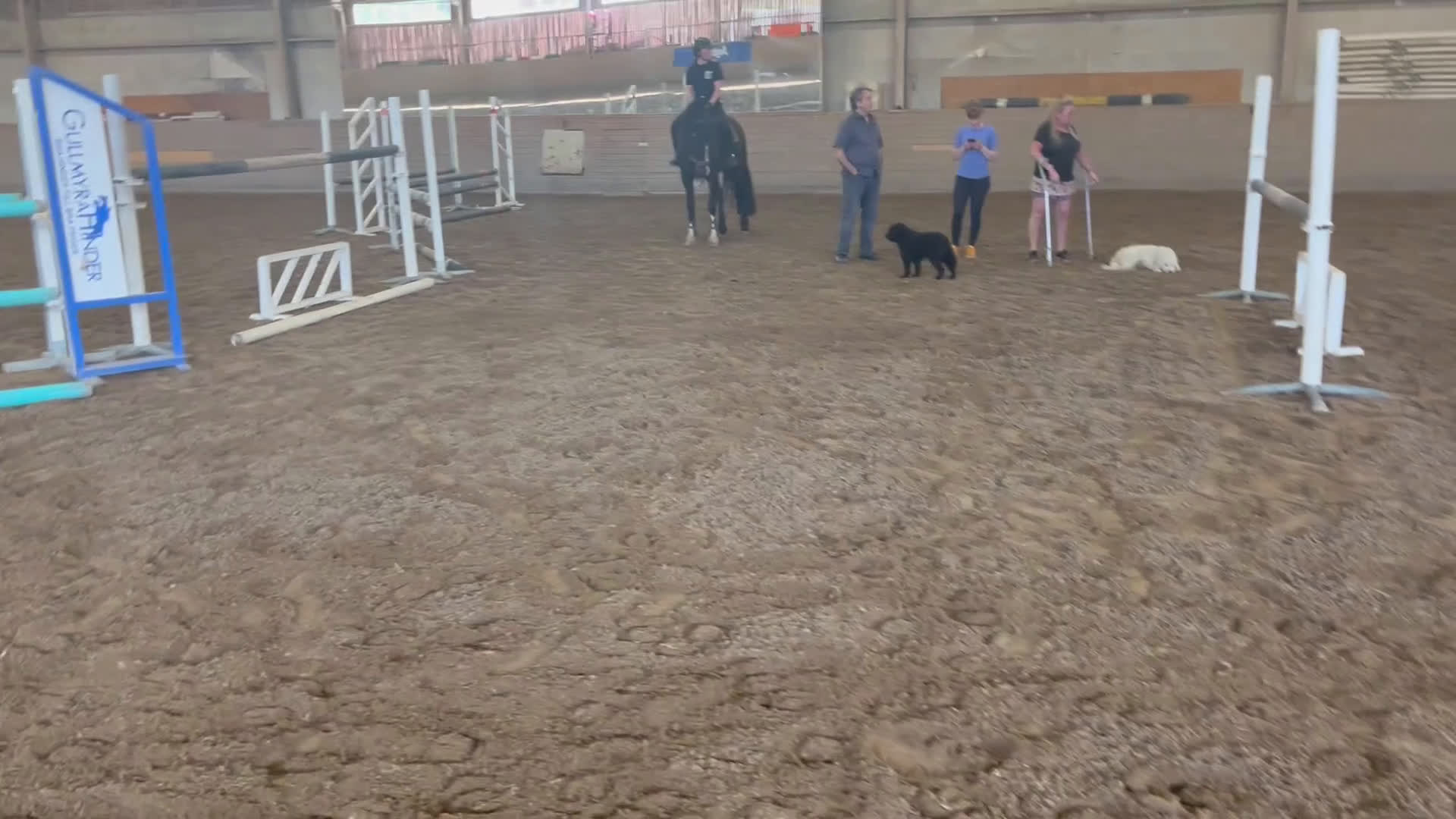 Hoppning hästar till salu: Stor valack till salu  i Kungsängen - Video 2