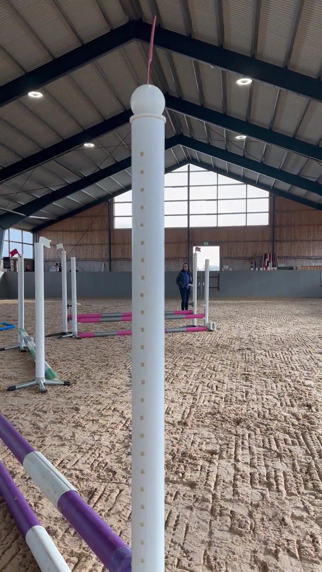 Allround hästar till salu: Kulltorps Ultra - Video 4
