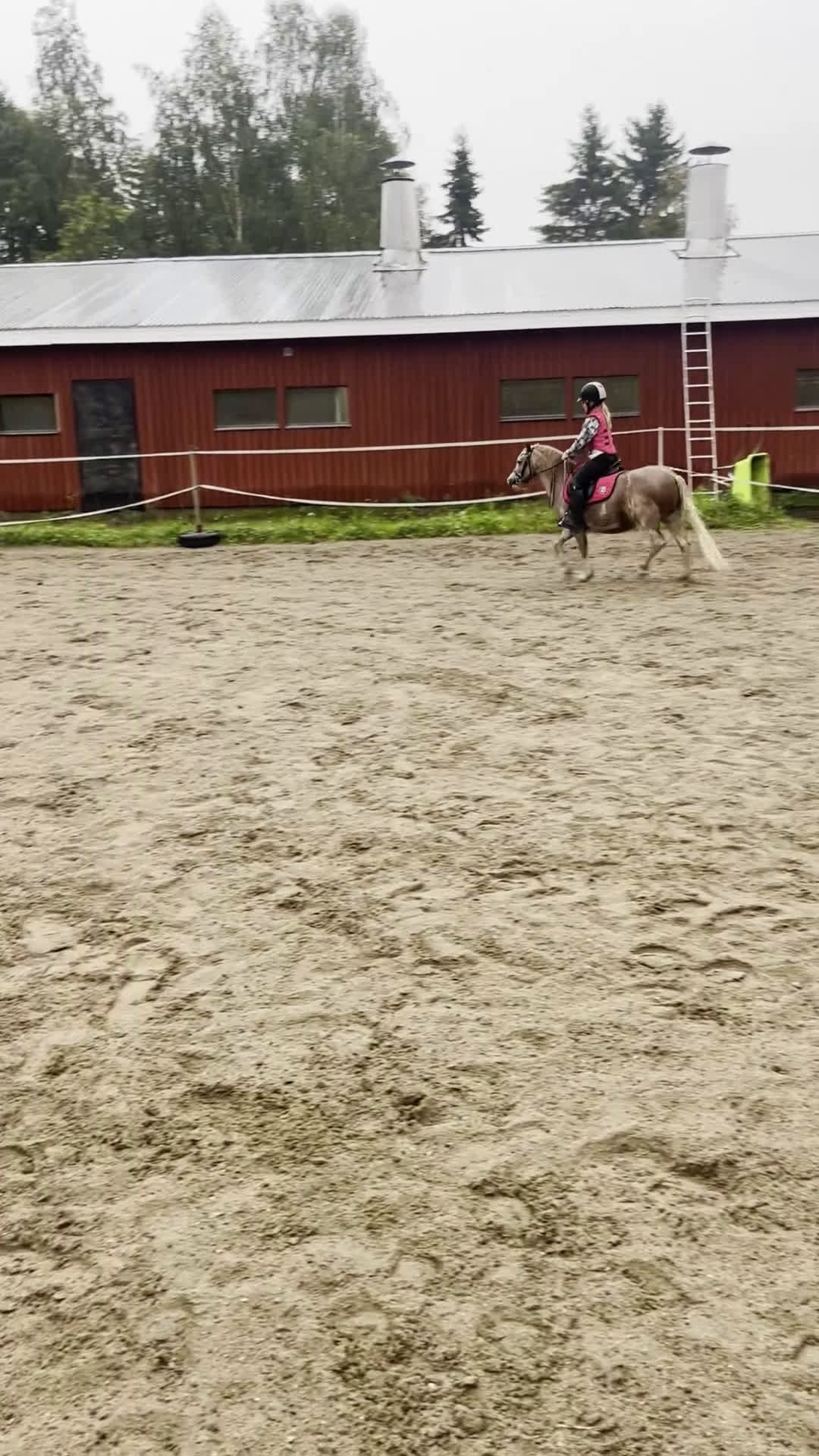 Allround hästar till salu: B-ponny sto - Video 2