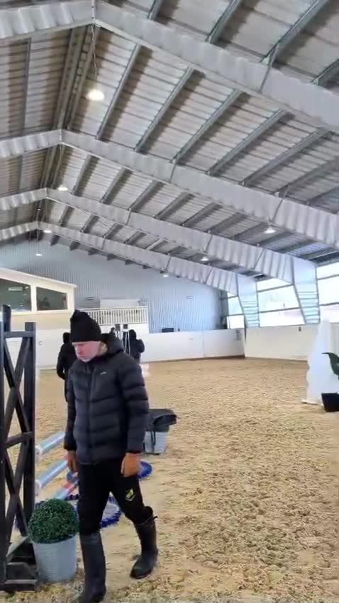 Hoppning hästar till salu: Läromästare till salu  i Kilafors - Video 3