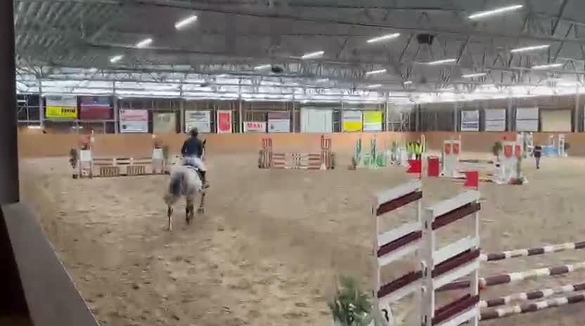 Hoppning hästar till salu: Positivt SWB-sto med stor utvecklingspotential  i Laholm - Video 1