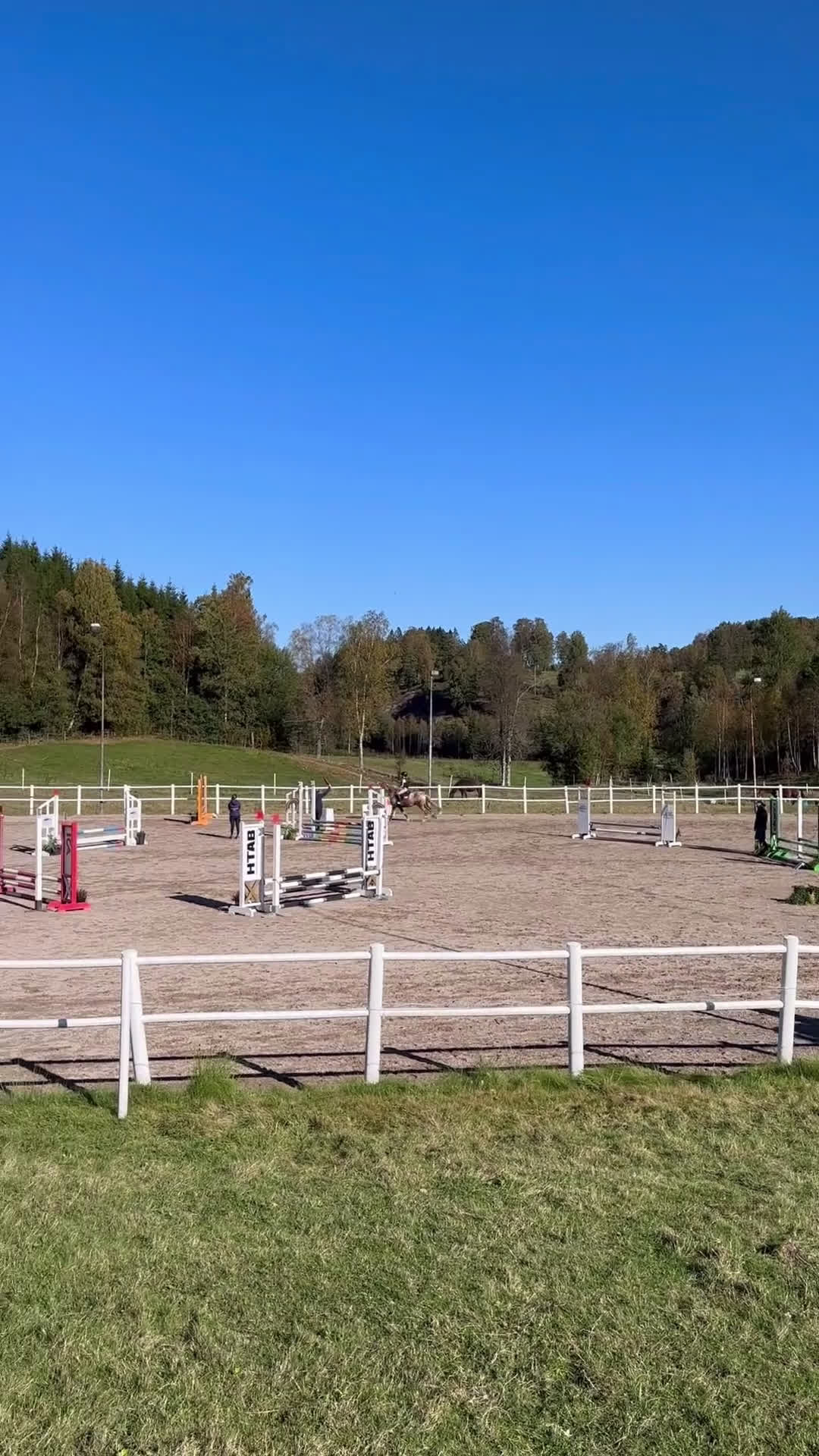 Hoppning hästar till salu: Snäll och mysig ponny med power  i Åmål - Video 4