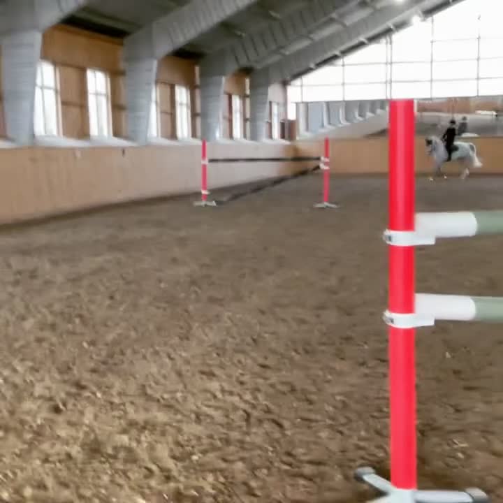Hoppning hästar till salu: Välriden lätthanterlig hopphäst/dressyrhäst - Video 3