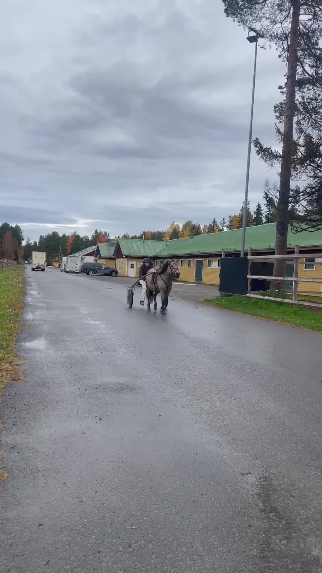 Allround hästar till salu: Världens bästa bponny🩷🌟 - Video 2