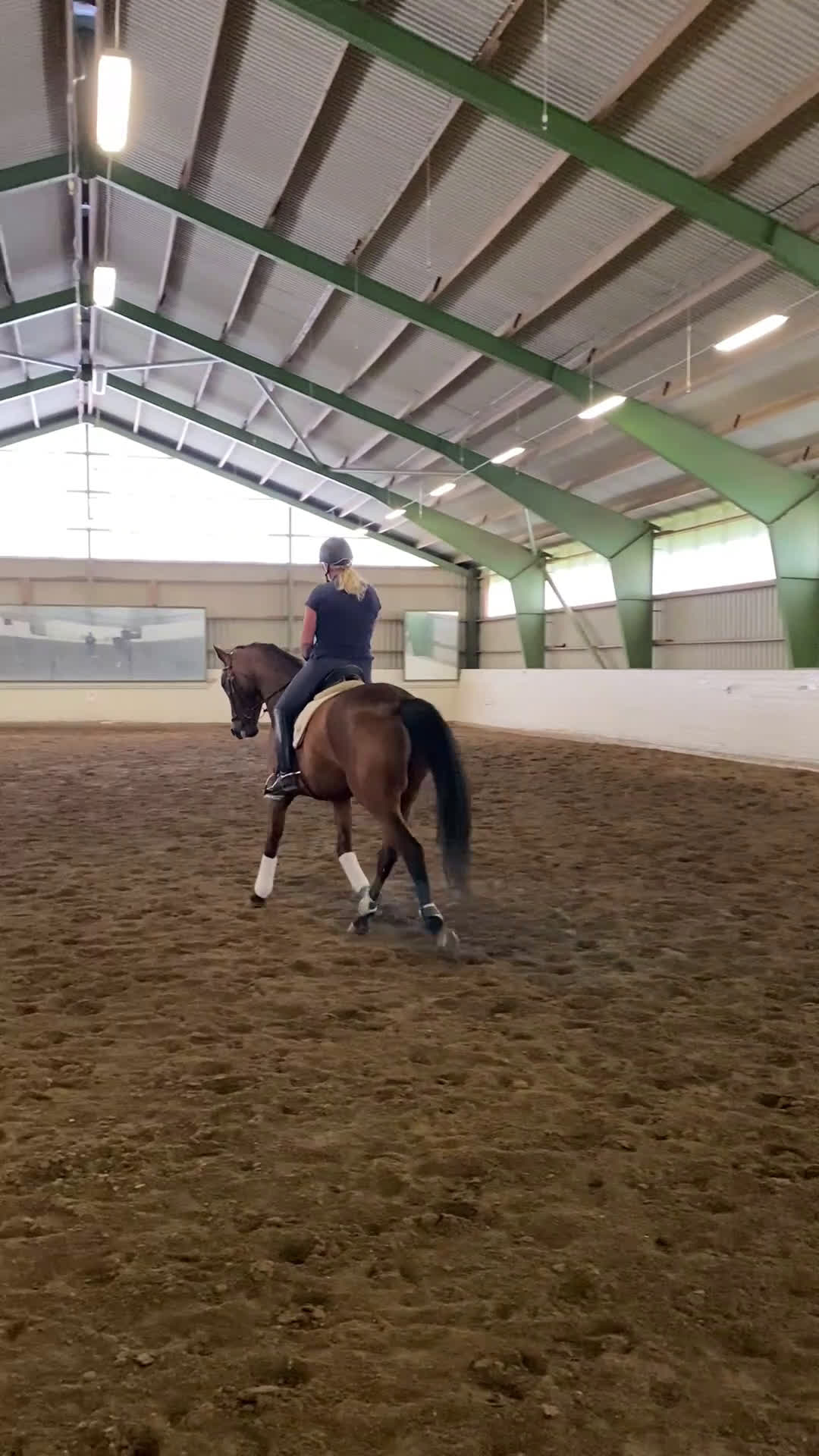 Dressyr hästar till salu: Trevlig dressyrvalack! - Video 1