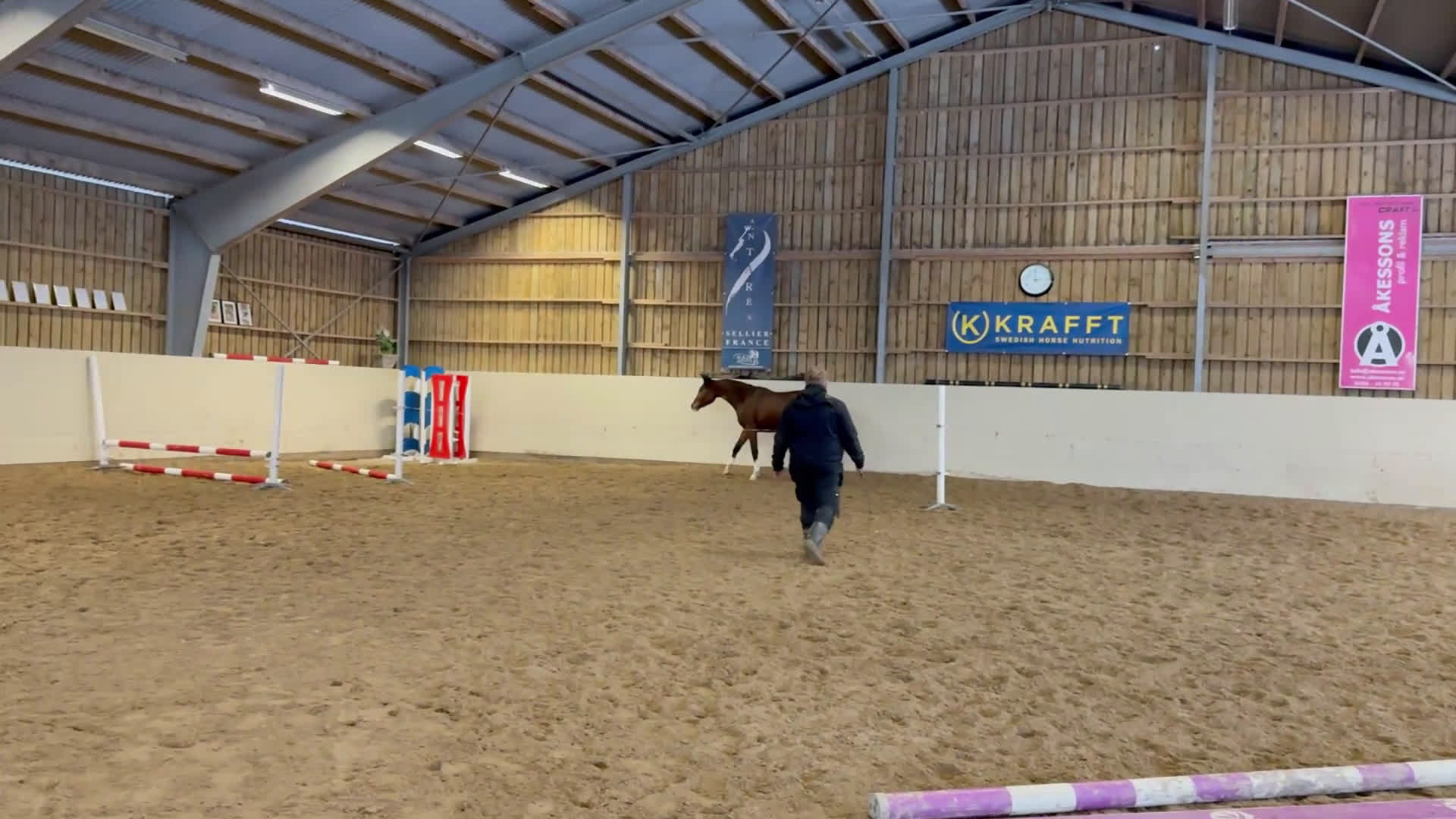 Hoppning hästar till salu: Fantastisk unghäst! i Sölvesborg - Video 1