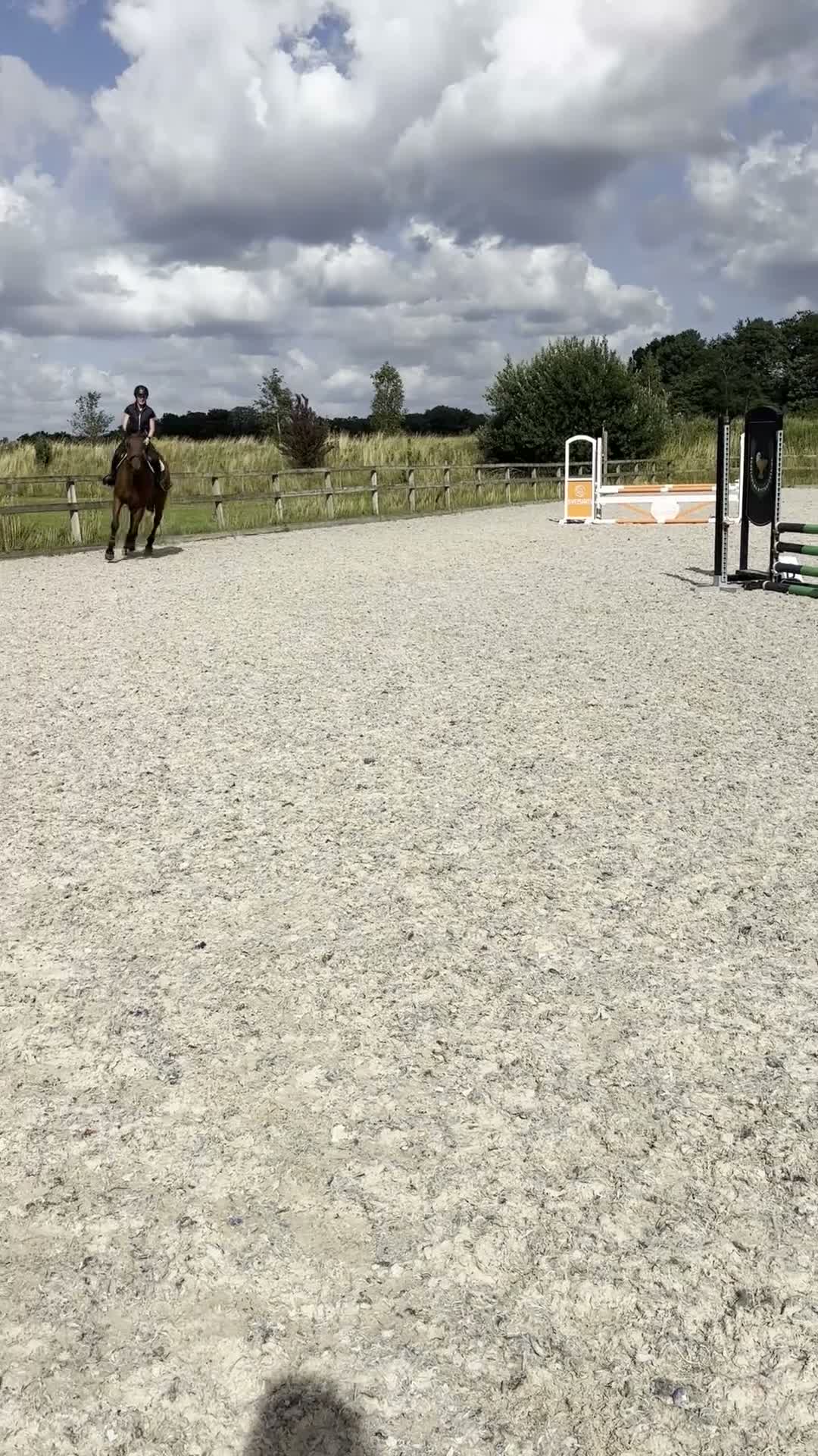 Allround hästar till salu: Perfekt hobbyhäst / mor och dotterhäst - Video 1