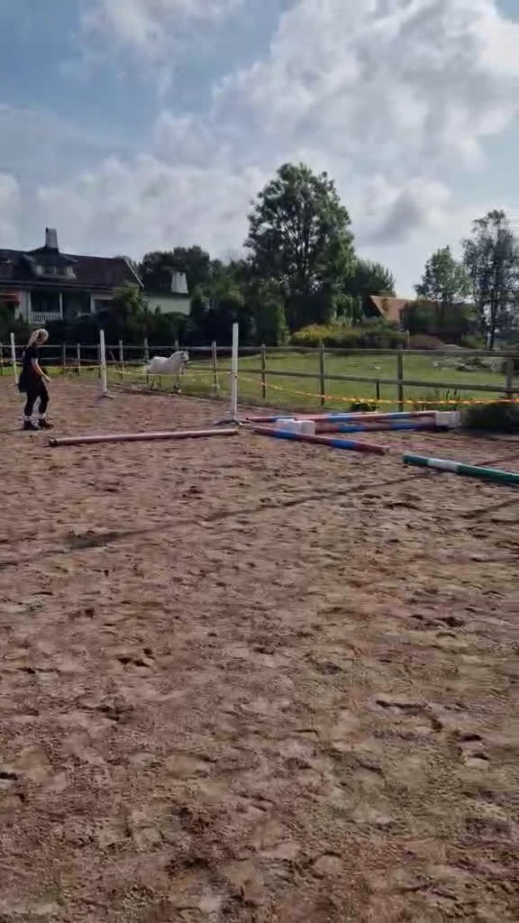 Körning hästar till salu: Socker Söt Ponny🌸 i Åmål - Video 1