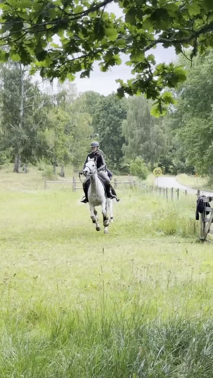  medryttarhäst sökes: Medryttarhäst sökes - Video 2