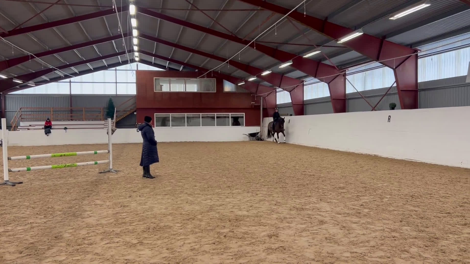  medryttarhäst finnes: Betalande medryttare  i Norrköping - Video 1