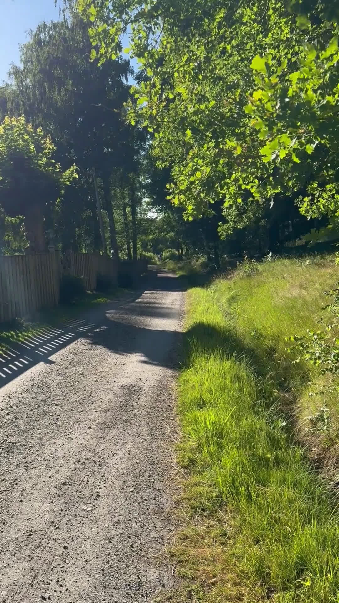 Hoppning hästar till salu: Vackraste ponnyn - Video 1